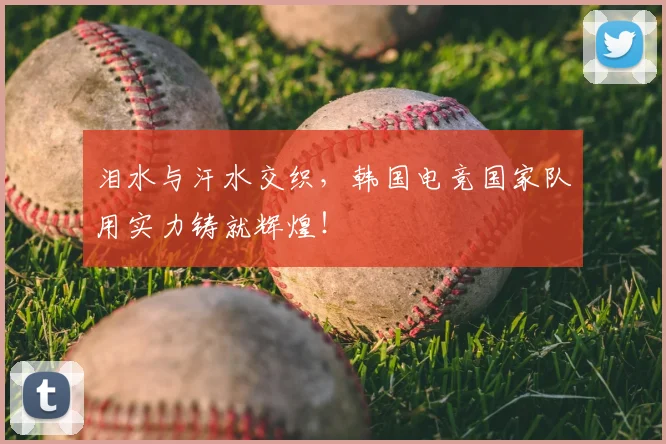 泪水与汗水交织，韩国电竞国家队用实力铸就辉煌！
