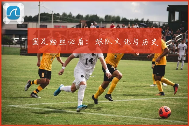 国足粉丝必看:球队文化与历史