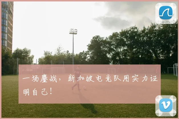 一场鏖战,新加坡电竞队用实力证明自己!